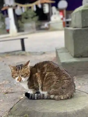 小室浅間神社の動物