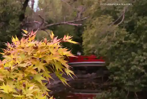 武蔵一宮氷川神社(埼玉県)
