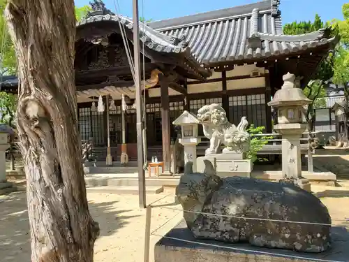 浜の宮天満宮の狛犬