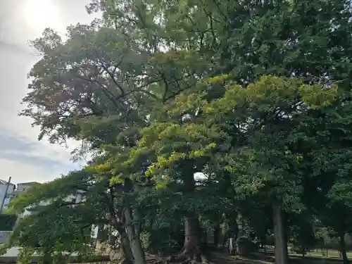 丹比神社(大阪府)