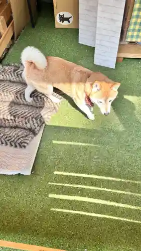 尻岸内八幡神社(北海道)
