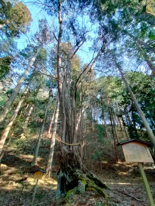 飛驒一宮水無神社(岐阜県)