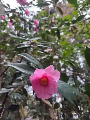 沙沙貴神社(滋賀県)