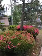 高木神社(福井県)