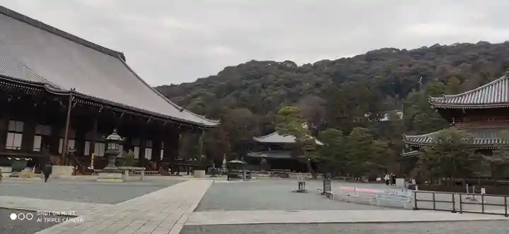 知恩院の本殿・本堂