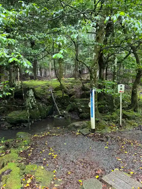 若狭彦神社(上社)(福井県)