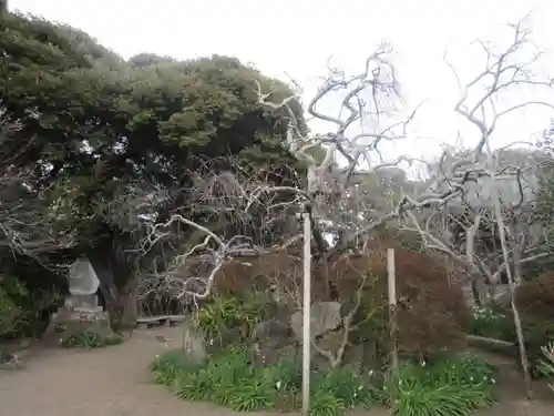 宝戒寺(神奈川県)