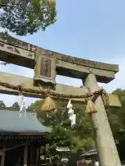 千栗八幡宮の鳥居