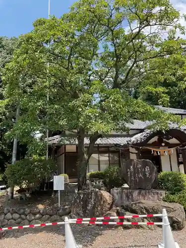 尾張冨士大宮浅間神社の自然