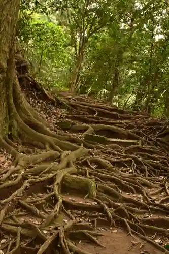 石見国一宮　物部神社(島根県)