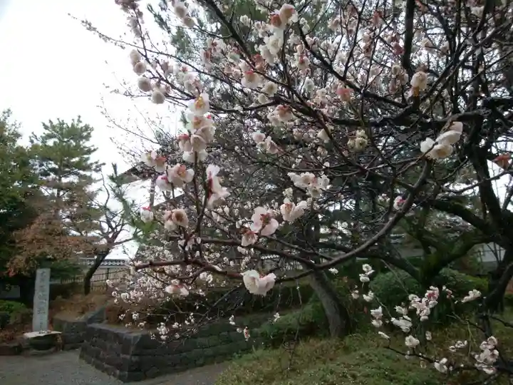 忍 諏訪神社・東照宮 (埼玉県)