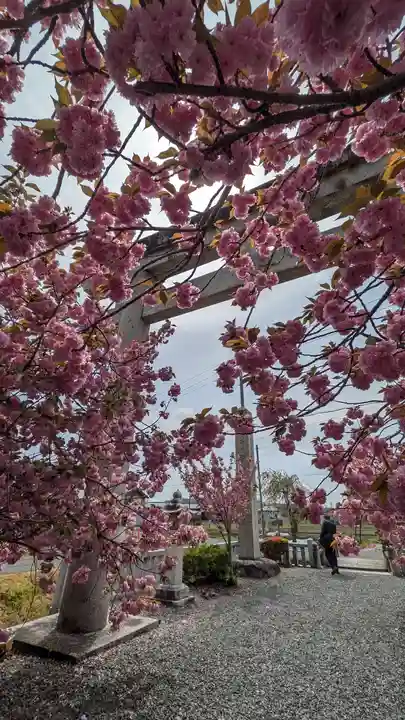 伊香具神社(滋賀県)