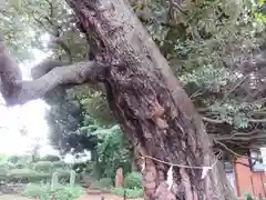 九重神社(埼玉県)