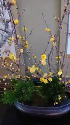 雲龍院(京都府)