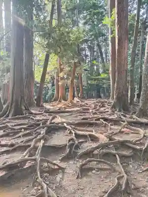 鞍馬寺(京都府)