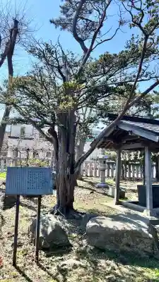 豊川稲荷神社(北海道)
