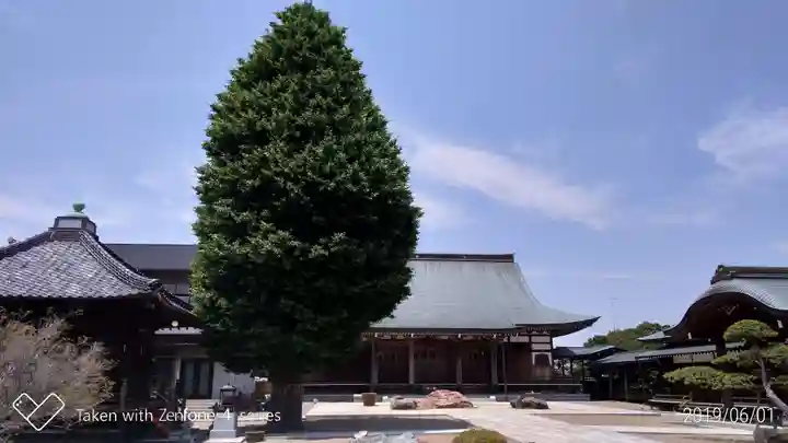 円通寺のその他建物