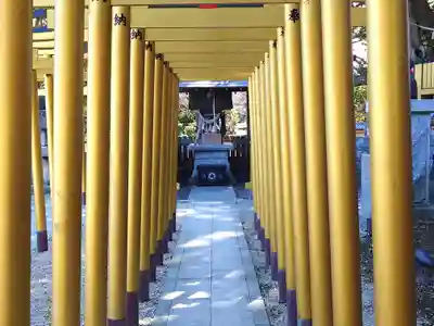 ほしいも神社(茨城県)