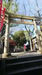 笠䅣稲荷神社の鳥居