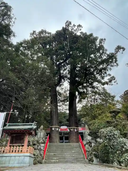 八幡朝見神社の自然