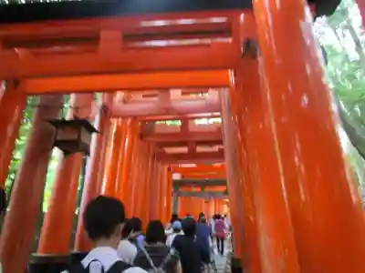 伏見稲荷大社(京都府)