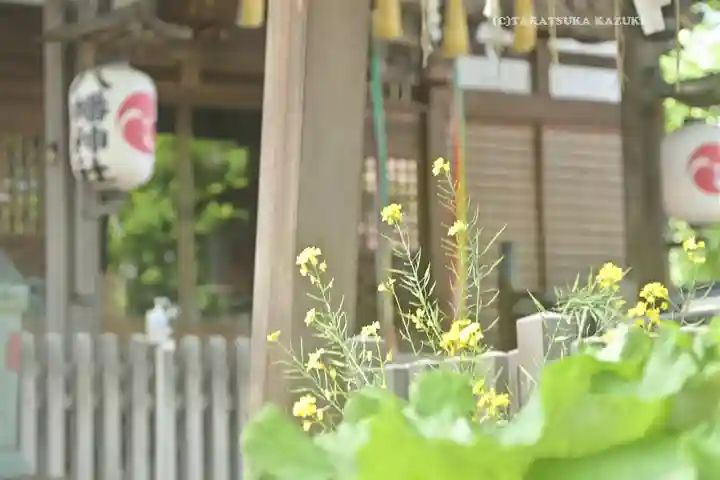 滝野川八幡神社(東京都)