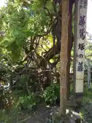 八幡神社の自然