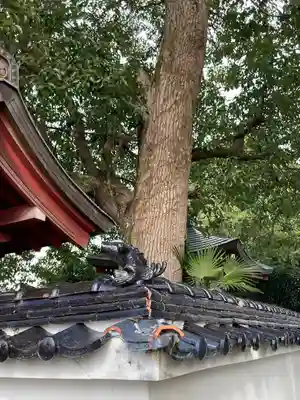 青蓮寺(兵庫県)