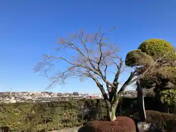 松門寺(東京都)