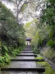 瑞泉寺の山門