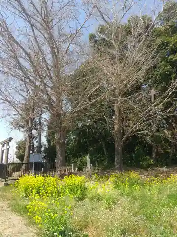 浅間神社 (埼玉県)