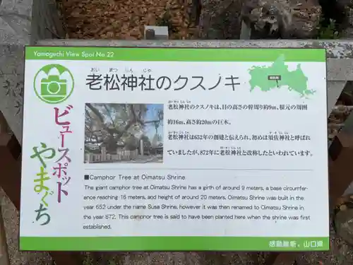 老松神社の建物その他