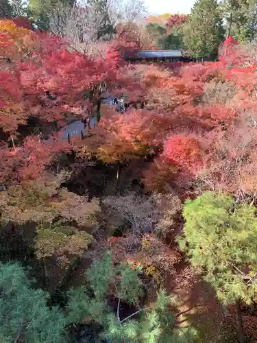 東福禅寺（東福寺）の景色