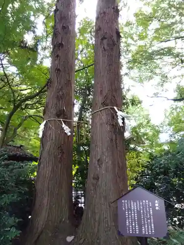 杉原神社(富山県)