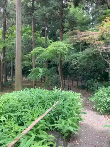 本土寺(千葉県)