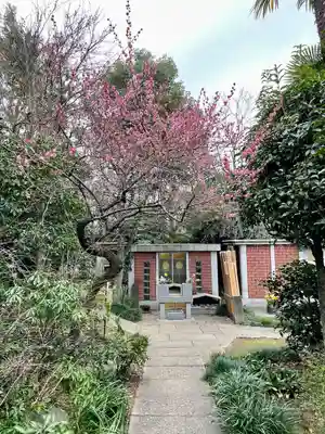 定泉寺(東京都)