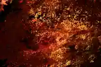 国宝 大法寺の自然