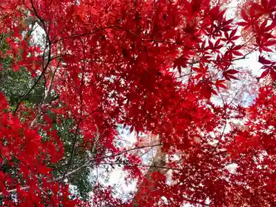 北野天満宮(京都府)