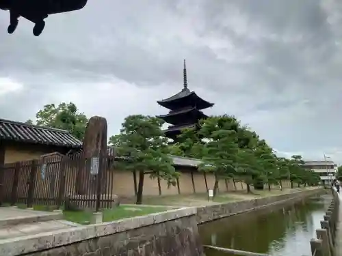 東寺（教王護国寺）(京都府)
