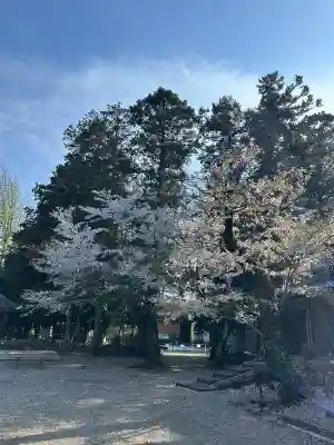 手力雄神社の{uncategorized: "未分類", other: "その他", undefined: "問題あり", building: "その他建物", grave: "お墓", sacred_gate: "鳥居", guardian: "狛犬", statue: "像", buddha: "仏像", history: "歴史", nature: "自然", garden: "庭園", animal: "動物", pagoda: "塔", temizu: "手水舎", mountain_gate: "山門・神門", sanctuary: "本殿・本堂", subordinate: "末社・摂社", art: "芸術", scenery: "景色", jizo: "地蔵", ema: "絵馬", goshuin: "御朱印", omikuji: "おみくじ", items: "授与品その他", amulet: "お守り", goshuincho: "御朱印帳", eats: "食事", festival: "お祭り", votive_dance: "神楽", shichigosan: "七五三参", wedding: "結婚式", experience: "体験その他", initially: "初詣", around: "周辺", anti_infection: "感染症対策"}