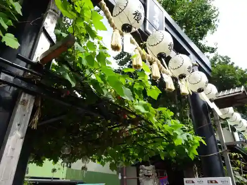 菊名神社の鳥居