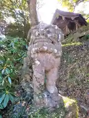 釜屋神社の狛犬