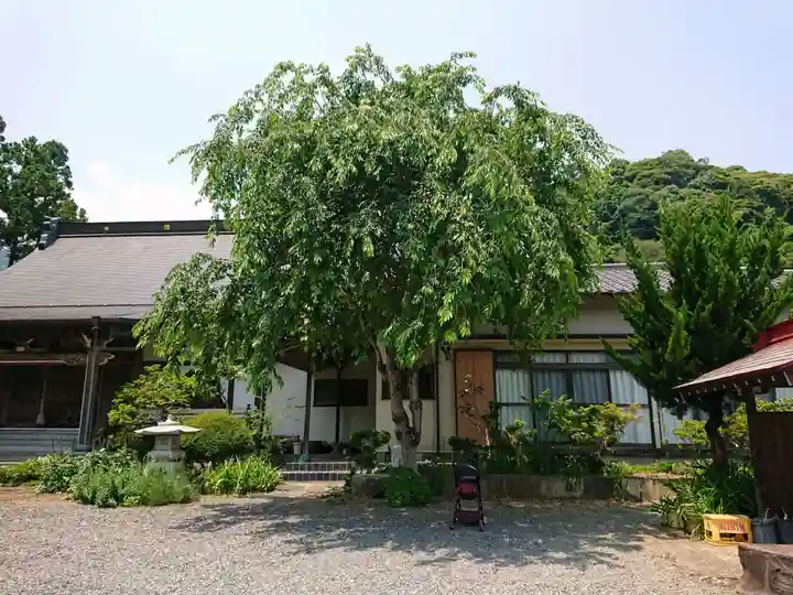 花蔵院のその他建物