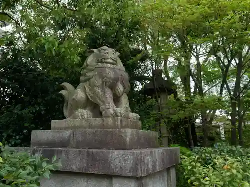 晴明神社の狛犬