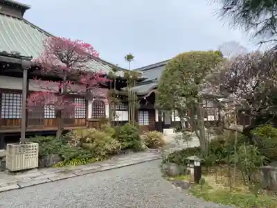 安養寺のその他建物