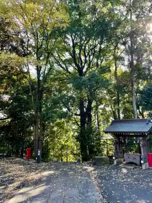 茅ヶ崎杉山神社(神奈川県)