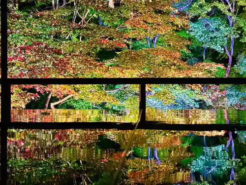 光明寺瑠璃光院(京都府)