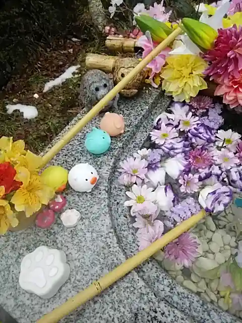 陽林寺の手水舎