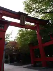 彌彦神社　(伊夜日子神社)の鳥居