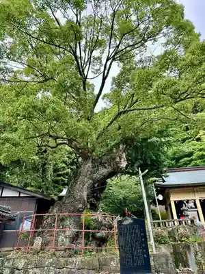 土肥神社(静岡県)